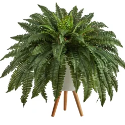 Boston Fern Arrangement In White Planter-Kirkland's Home Sale