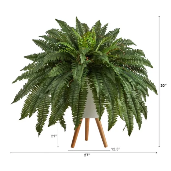 Boston Fern Arrangement In White Planter-Kirkland's Home Sale
