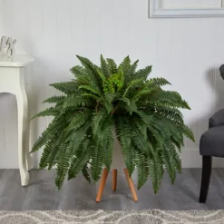 Boston Fern Arrangement In White Planter-Kirkland's Home Sale