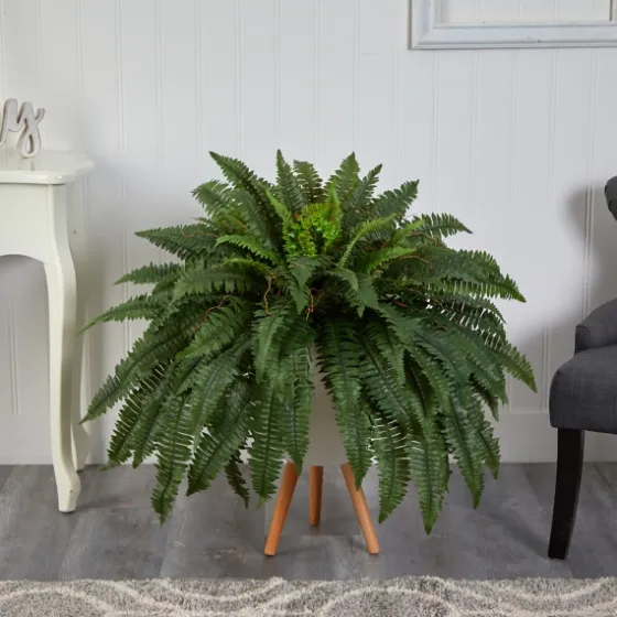 Boston Fern Arrangement In White Planter-Kirkland's Home Sale