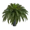 Boston Fern In Oblong Gray Planter-Kirkland's Home Sale