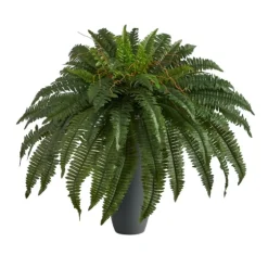 Boston Fern In Oblong Gray Planter-Kirkland's Home Sale