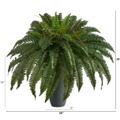 Boston Fern In Oblong Gray Planter-Kirkland's Home Sale