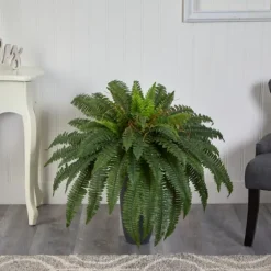 Boston Fern In Oblong Gray Planter-Kirkland's Home Sale
