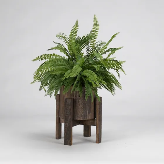 Boston Fern In Round Wooden Planter With Stand-Kirkland's Home Cheap
