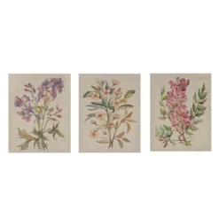 Botanical Linen Art Prints, Set Of 3-Kirkland's Home Clearance