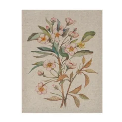 Botanical Linen Art Prints, Set Of 3-Kirkland's Home Clearance