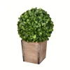 Boxwood Ball And Wooden Box Arrangement-Kirkland's Home Cheap