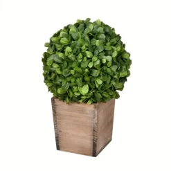 Boxwood Ball And Wooden Box Arrangement-Kirkland's Home Cheap