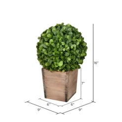 Boxwood Ball And Wooden Box Arrangement-Kirkland's Home Cheap