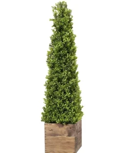 Boxwood Obelisk In Wood Planter, 36 In.-Kirkland's Home New