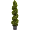 Boxwood Spiral Topiary, 48 In.-Kirkland's Home Hot