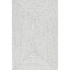 Braided Leah Indoor/Outdoor Area Rug, 5X8-Kirkland's Home Online