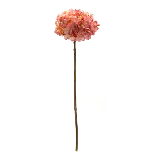 Bright Hydrangea Stems, Set Of 6-Kirkland's Home Cheap