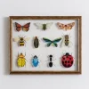 Bug Collection Framed Wall Art-Kirkland's Home Clearance