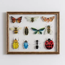 Bug Collection Framed Wall Art-Kirkland's Home Clearance