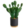 Bunny Ear Cactus In Black Mod Planter-Kirkland's Home Best Sale