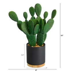 Bunny Ear Cactus In Black Mod Planter-Kirkland's Home Best Sale