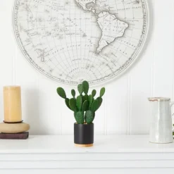 Bunny Ear Cactus In Black Mod Planter-Kirkland's Home Best Sale