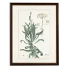 Bupleurum Greenery Black Beaded Framed Art Print-Kirkland's Home Sale