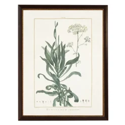 Bupleurum Greenery Black Beaded Framed Art Print-Kirkland's Home Sale
