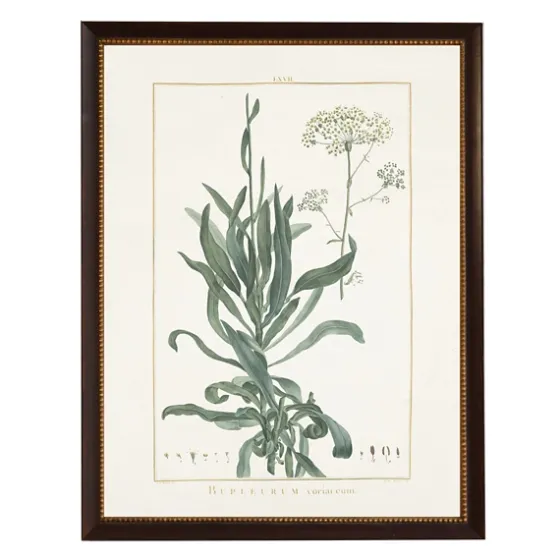 Bupleurum Greenery Black Beaded Framed Art Print-Kirkland's Home Sale