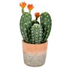 Cactus In Clay Pot, 14 In.-Kirkland's Home Sale