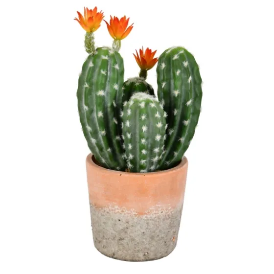 Cactus In Clay Pot, 14 In.-Kirkland's Home Sale