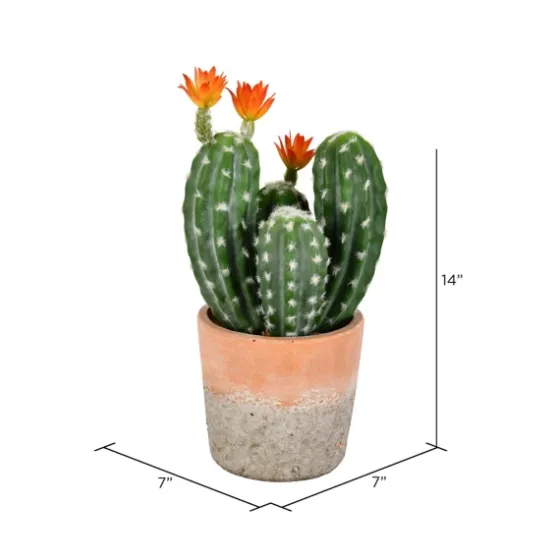 Cactus In Clay Pot, 14 In.-Kirkland's Home Sale