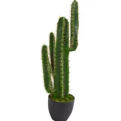 Cactus Plant, 3 Ft.-Kirkland's Home Best Sale