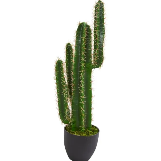 Cactus Plant, 3 Ft.-Kirkland's Home Best Sale