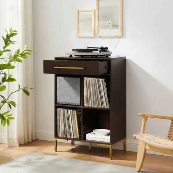 Cadence Gold Record Storage Bookcase With Speaker-Kirkland's Home Clearance