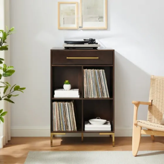 Cadence Gold Record Storage Bookcase-Kirkland's Home Discount