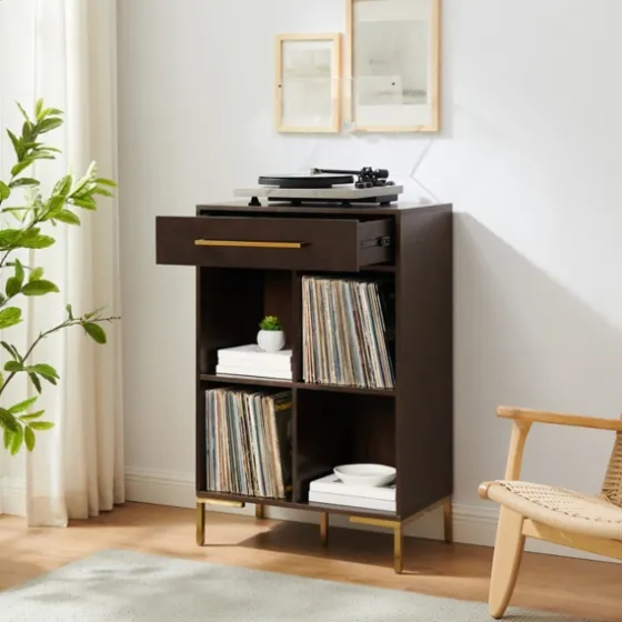 Cadence Gold Record Storage Bookcase-Kirkland's Home Discount