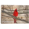 Cardinal Branch Wood Art Print-Kirkland's Home Flash Sale
