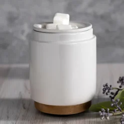 Ceramic Wax Warmer-Kirkland's Home Clearance
