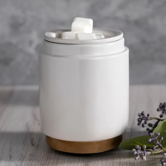 Ceramic Wax Warmer-Kirkland's Home Clearance