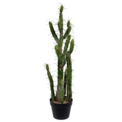 Cereus Cactus In Black Pot, 34 In.-Kirkland's Home Best