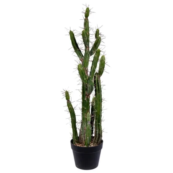 Cereus Cactus In Black Pot, 34 In.-Kirkland's Home Best