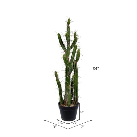 Cereus Cactus In Black Pot, 34 In.-Kirkland's Home Best