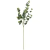 Cinerea Eucalyptus Leaf Stems, Set Of 4-Kirkland's Home Hot
