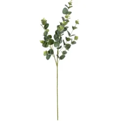 Cinerea Eucalyptus Leaf Stems, Set Of 4-Kirkland's Home Hot