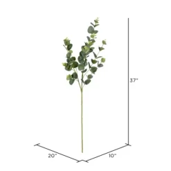 Cinerea Eucalyptus Leaf Stems, Set Of 4-Kirkland's Home Hot