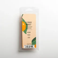 Citrus Burst Wax Melts-Kirkland's Home Shop
