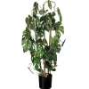 Climbing Split Leaf Philodendron Plant-Kirkland's Home Cheap