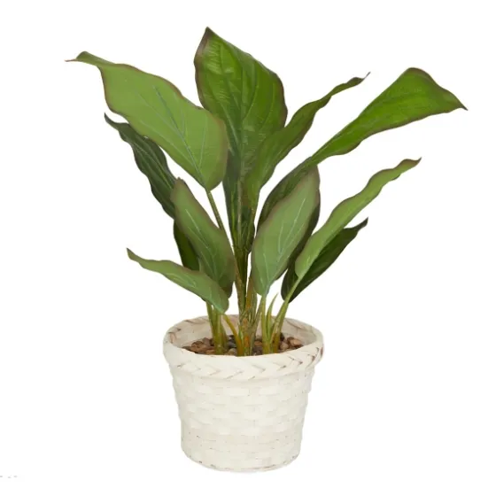 Coastal Foliage In Woven Bamboo Planter-Kirkland's Home Fashion