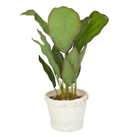 Coastal Foliage In Woven Bamboo Planter-Kirkland's Home Fashion