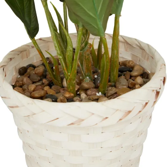 Coastal Foliage In Woven Bamboo Planter-Kirkland's Home Fashion
