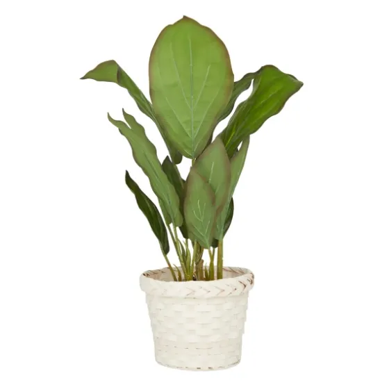 Coastal Foliage In Woven Bamboo Planter-Kirkland's Home Fashion
