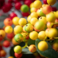 Color Berry Stems, Set Of 3-Kirkland's Home Store